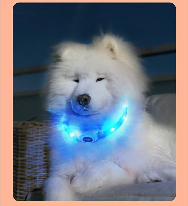 Coleira luminosa de led em pvc, à prova d'água, para cães grandes, médios e pequenos, segurança noturna