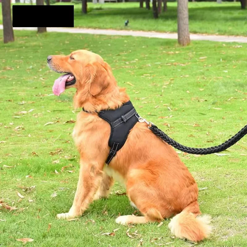 Colete para treinamento de cães, husky, buldogue do Alasca, cinto de faixa peitoral