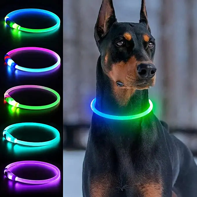 Coleira luminosa de led em pvc, à prova d'água, para cães grandes, médios e pequenos, segurança noturna