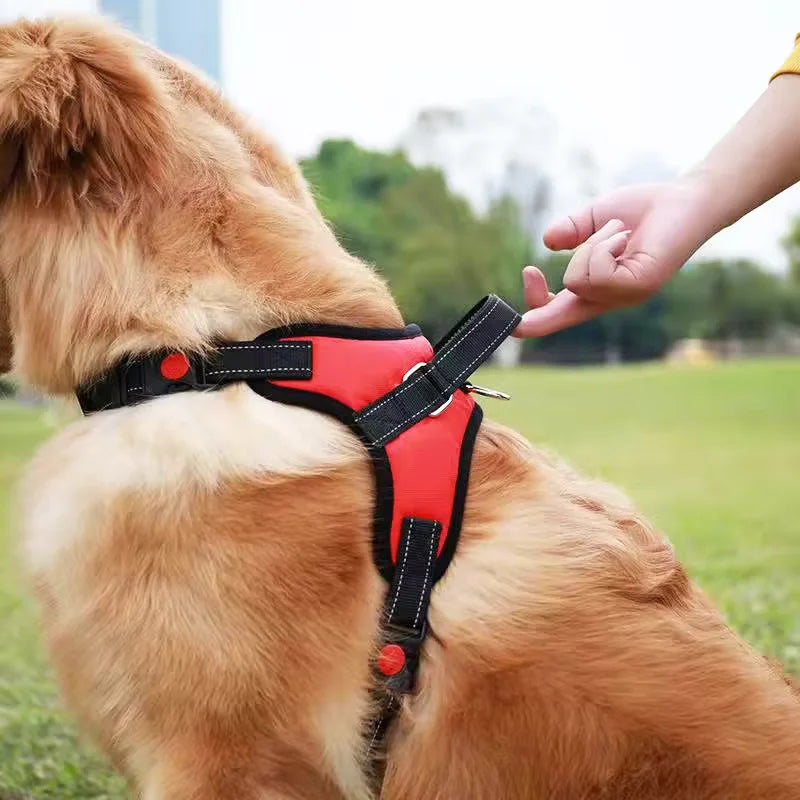 Colete para treinamento de cães, husky, buldogue do Alasca, cinto de faixa peitoral