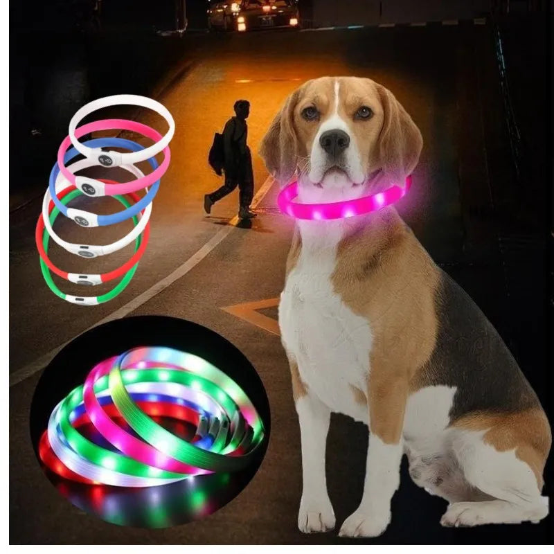 Coleira luminosa de led em pvc, à prova d'água, para cães grandes, médios e pequenos, segurança noturna