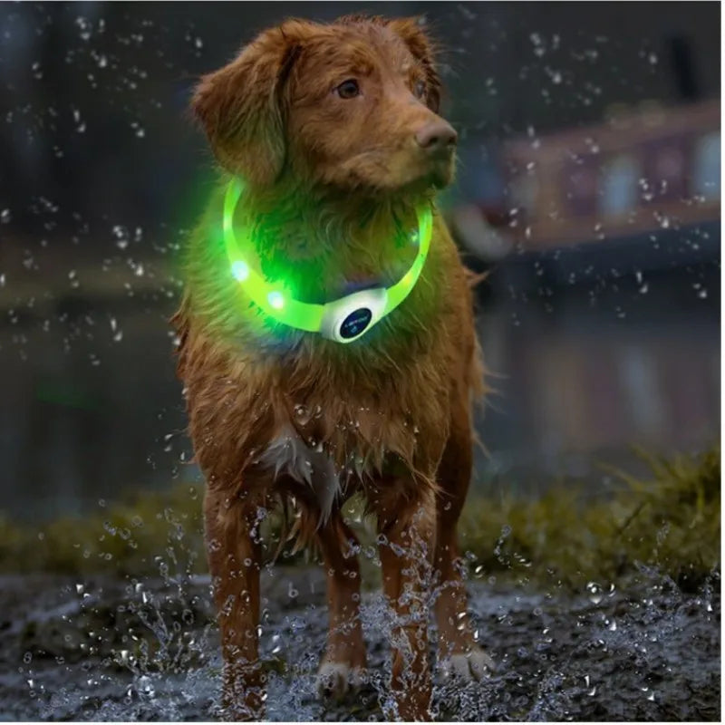 Coleira luminosa de led em pvc, à prova d'água, para cães grandes, médios e pequenos, segurança noturna