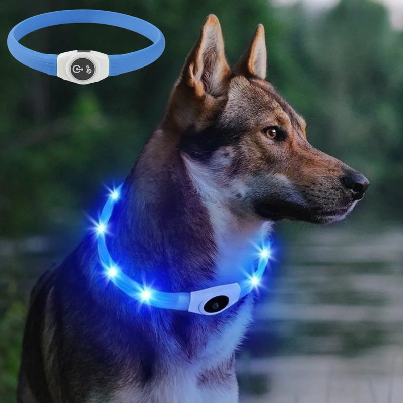 Coleira luminosa de led em pvc, à prova d'água, para cães grandes, médios e pequenos, segurança noturna