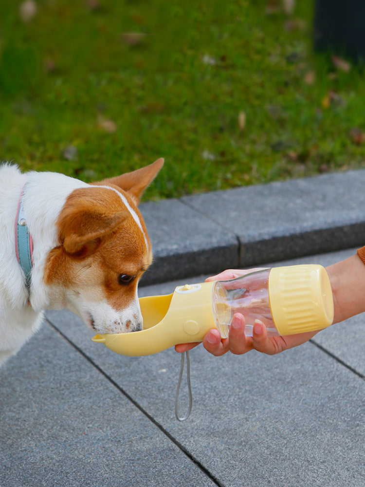 Garrafa de água portátil para cães e gatos