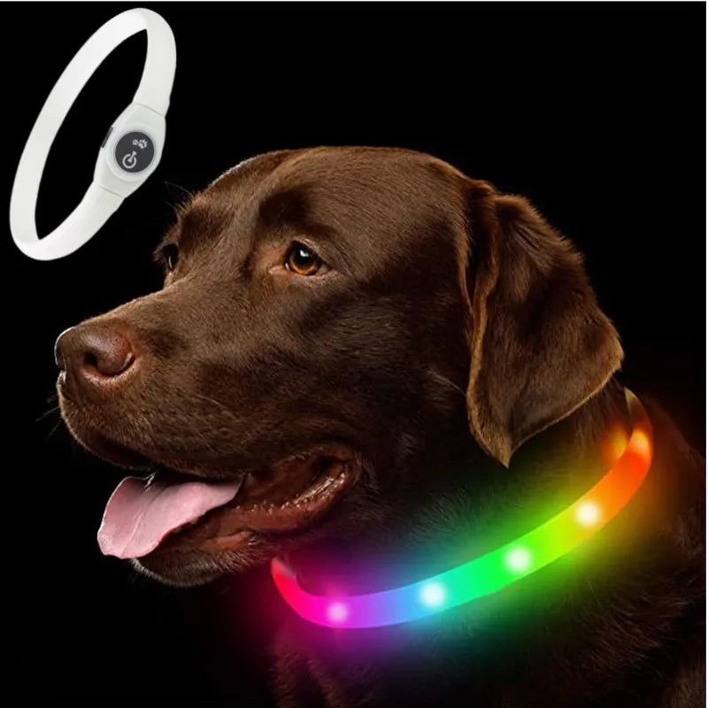 Coleira luminosa de led em pvc, à prova d'água, para cães grandes, médios e pequenos, segurança noturna