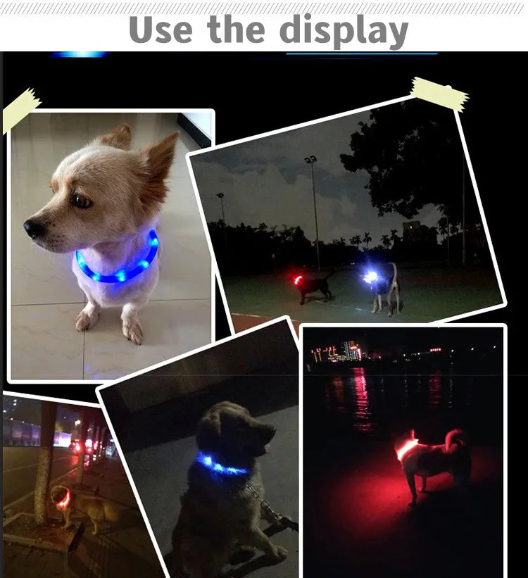 Coleira luminosa de led em pvc, à prova d'água, para cães grandes, médios e pequenos, segurança noturna