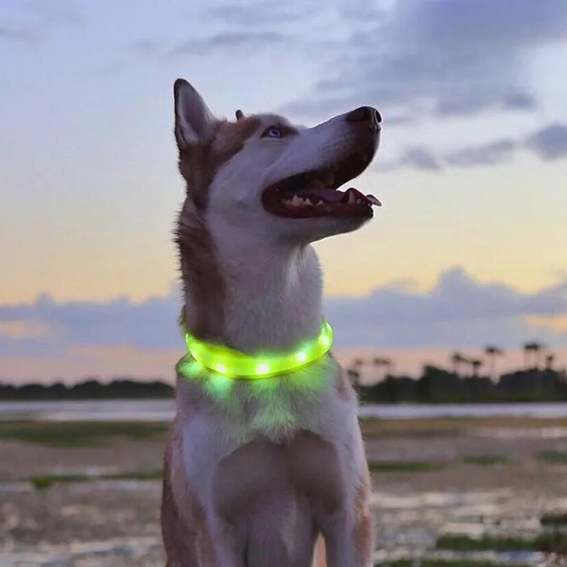 Coleira luminosa de led em pvc, à prova d'água, para cães grandes, médios e pequenos, segurança noturna